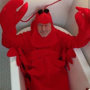 Meet your Posher, Stevee